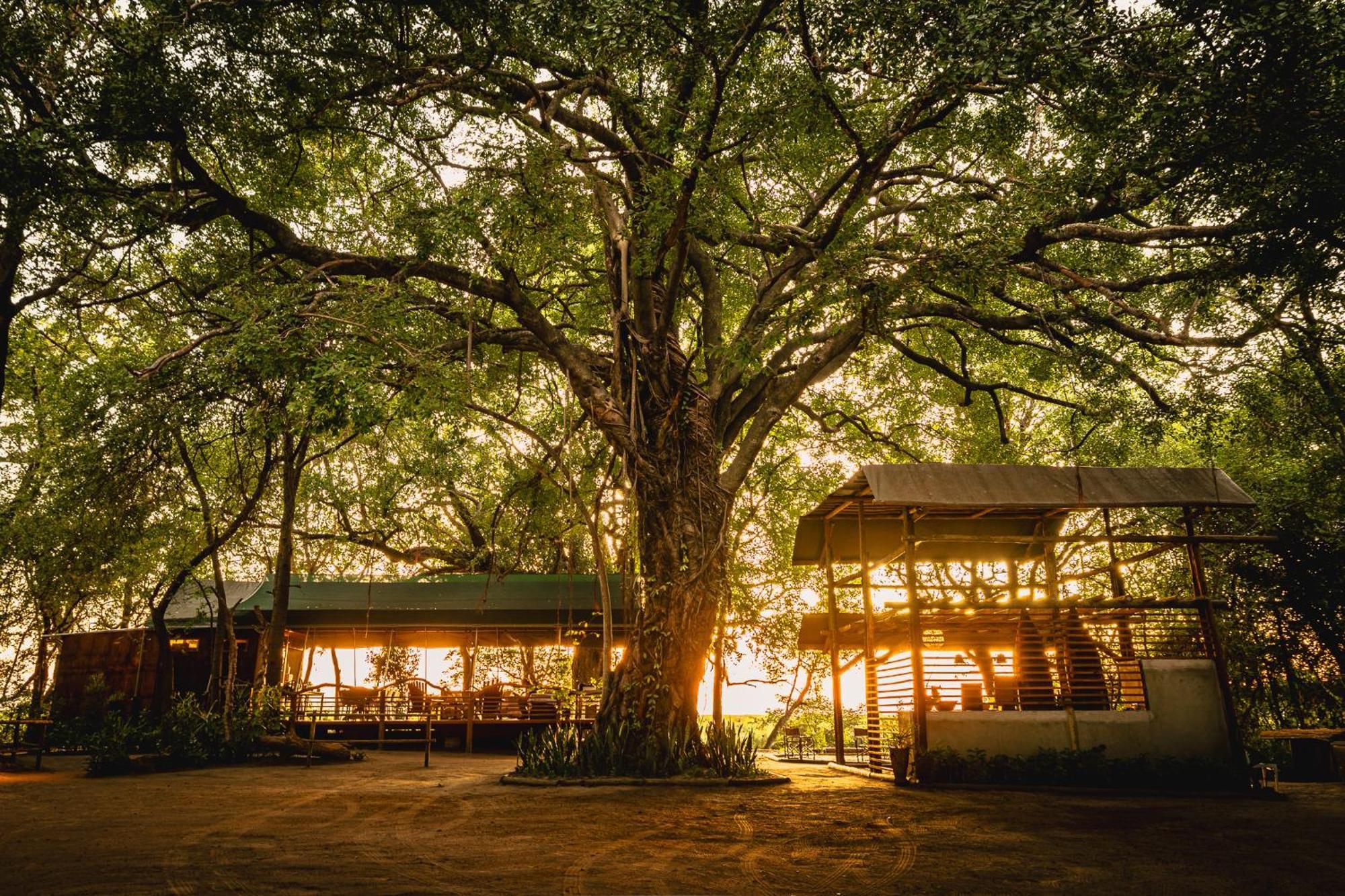 Askiesbos - Samochima Bush Camp Shakawe Exterior photo